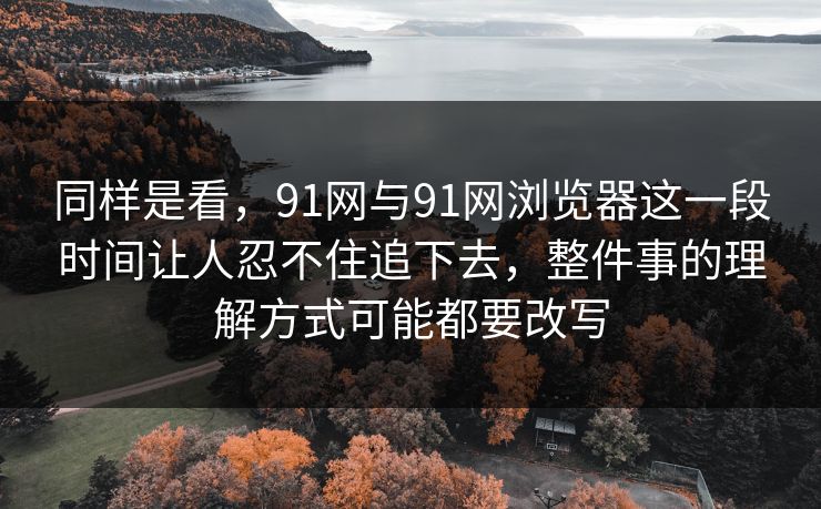 同样是看，91网与91网浏览器这一段时间让人忍不住追下去，整件事的理解方式可能都要改写