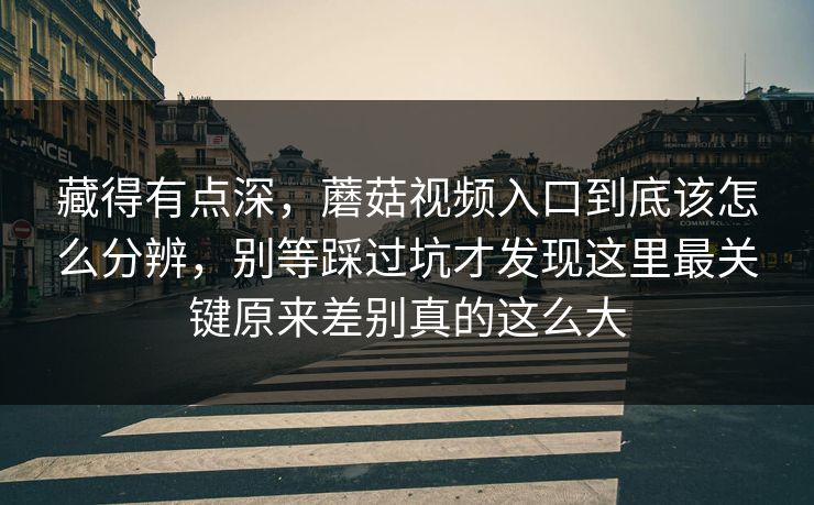 藏得有点深，蘑菇视频入口到底该怎么分辨，别等踩过坑才发现这里最关键原来差别真的这么大