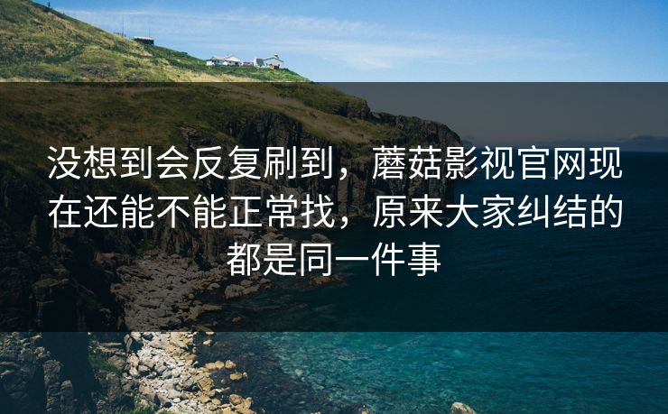 没想到会反复刷到，蘑菇影视官网现在还能不能正常找，原来大家纠结的都是同一件事