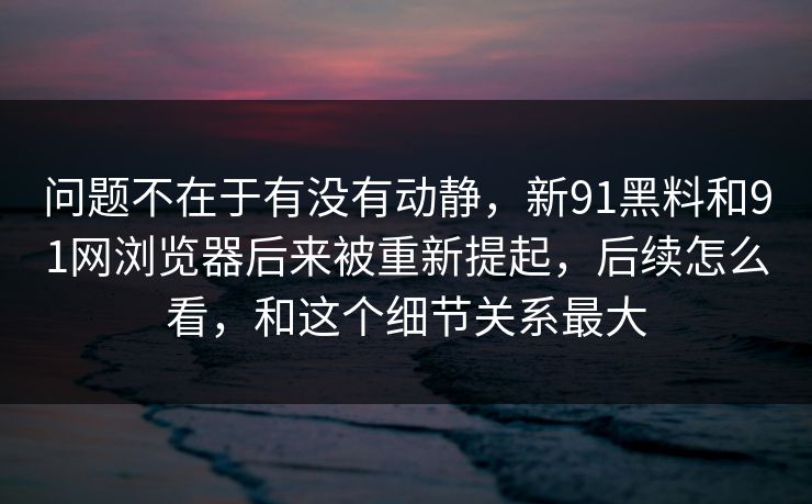 问题不在于有没有动静，新91黑料和91网浏览器后来被重新提起，后续怎么看，和这个细节关系最大