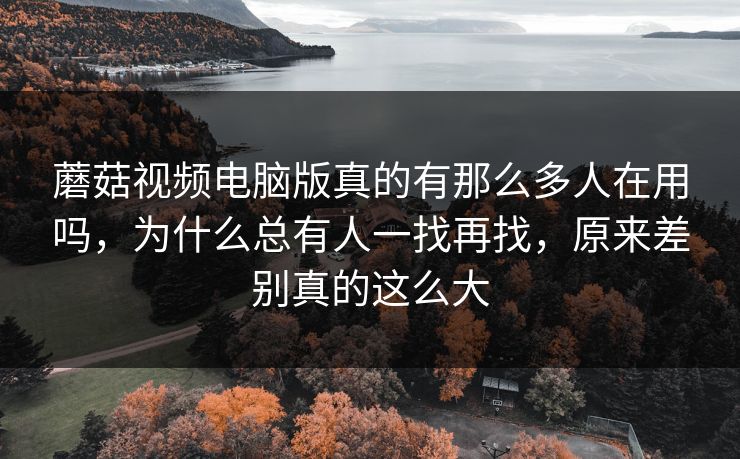 蘑菇视频电脑版真的有那么多人在用吗，为什么总有人一找再找，原来差别真的这么大