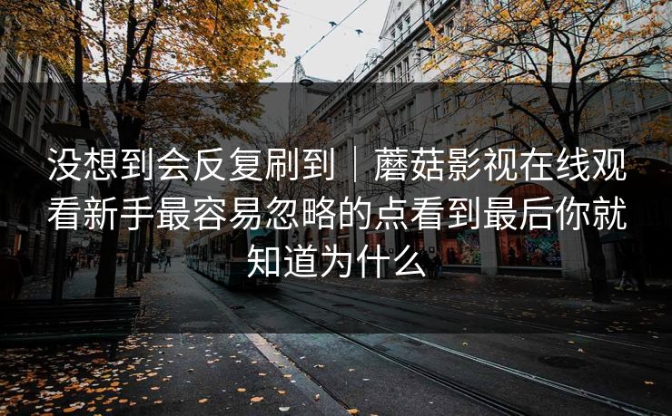 没想到会反复刷到｜蘑菇影视在线观看新手最容易忽略的点看到最后你就知道为什么
