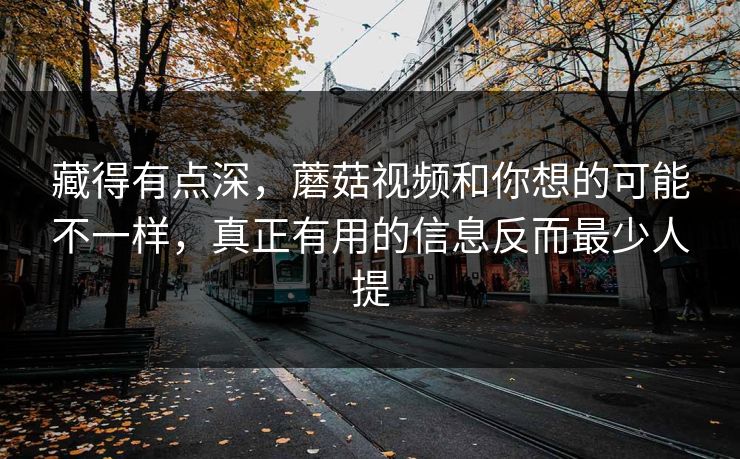 藏得有点深，蘑菇视频和你想的可能不一样，真正有用的信息反而最少人提