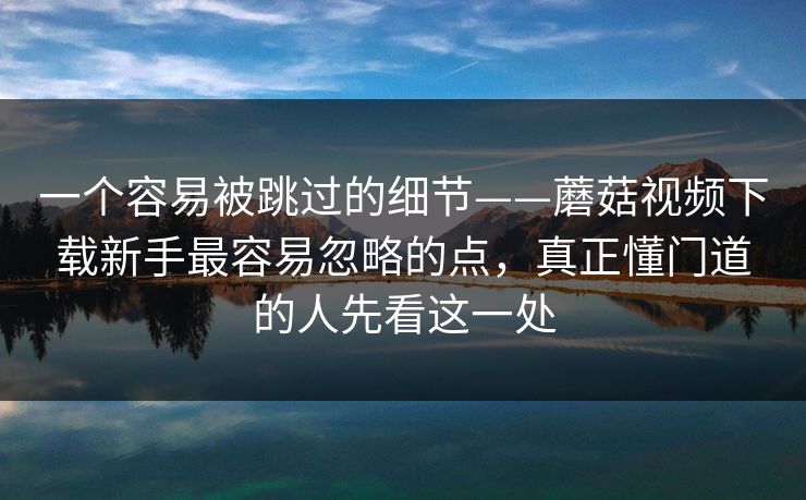 一个容易被跳过的细节——蘑菇视频下载新手最容易忽略的点，真正懂门道的人先看这一处
