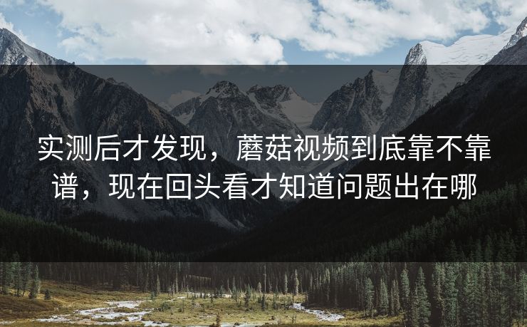 实测后才发现，蘑菇视频到底靠不靠谱，现在回头看才知道问题出在哪