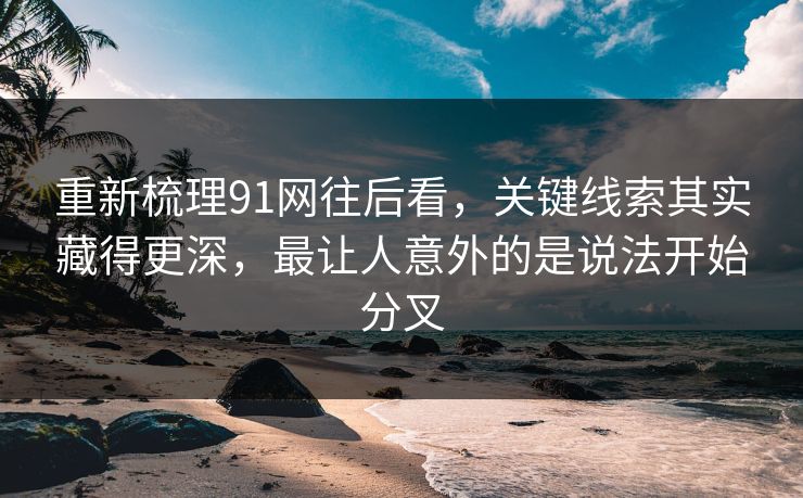 重新梳理91网往后看，关键线索其实藏得更深，最让人意外的是说法开始分叉