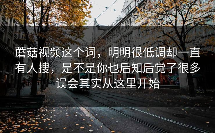 蘑菇视频这个词，明明很低调却一直有人搜，是不是你也后知后觉了很多误会其实从这里开始