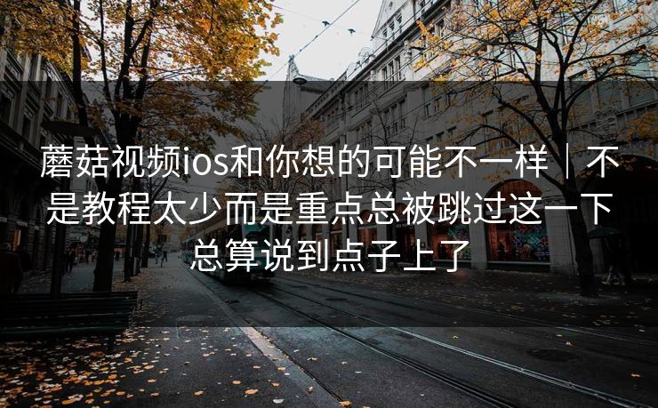 蘑菇视频ios和你想的可能不一样｜不是教程太少而是重点总被跳过这一下总算说到点子上了